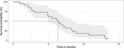 Salvage Radiation Therapy for Patients With Relapsing Glioblastoma Multiforme and the Role of Slow Fractionation